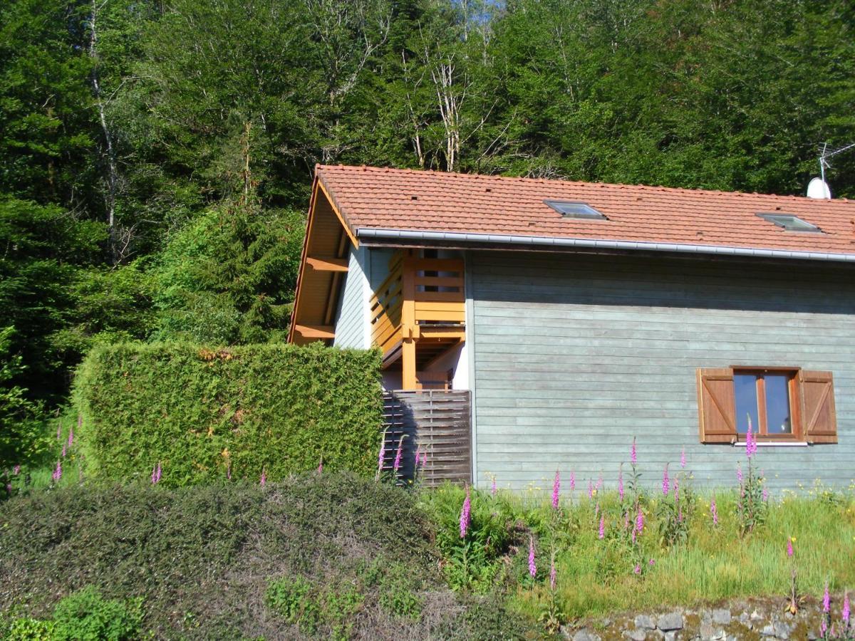 Le Chalet Saint-Nabord Kültér fotó